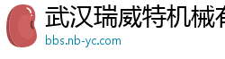 武汉瑞威特机械有限公司